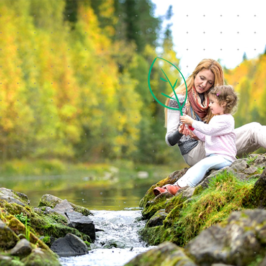 A carbon-neutral entity